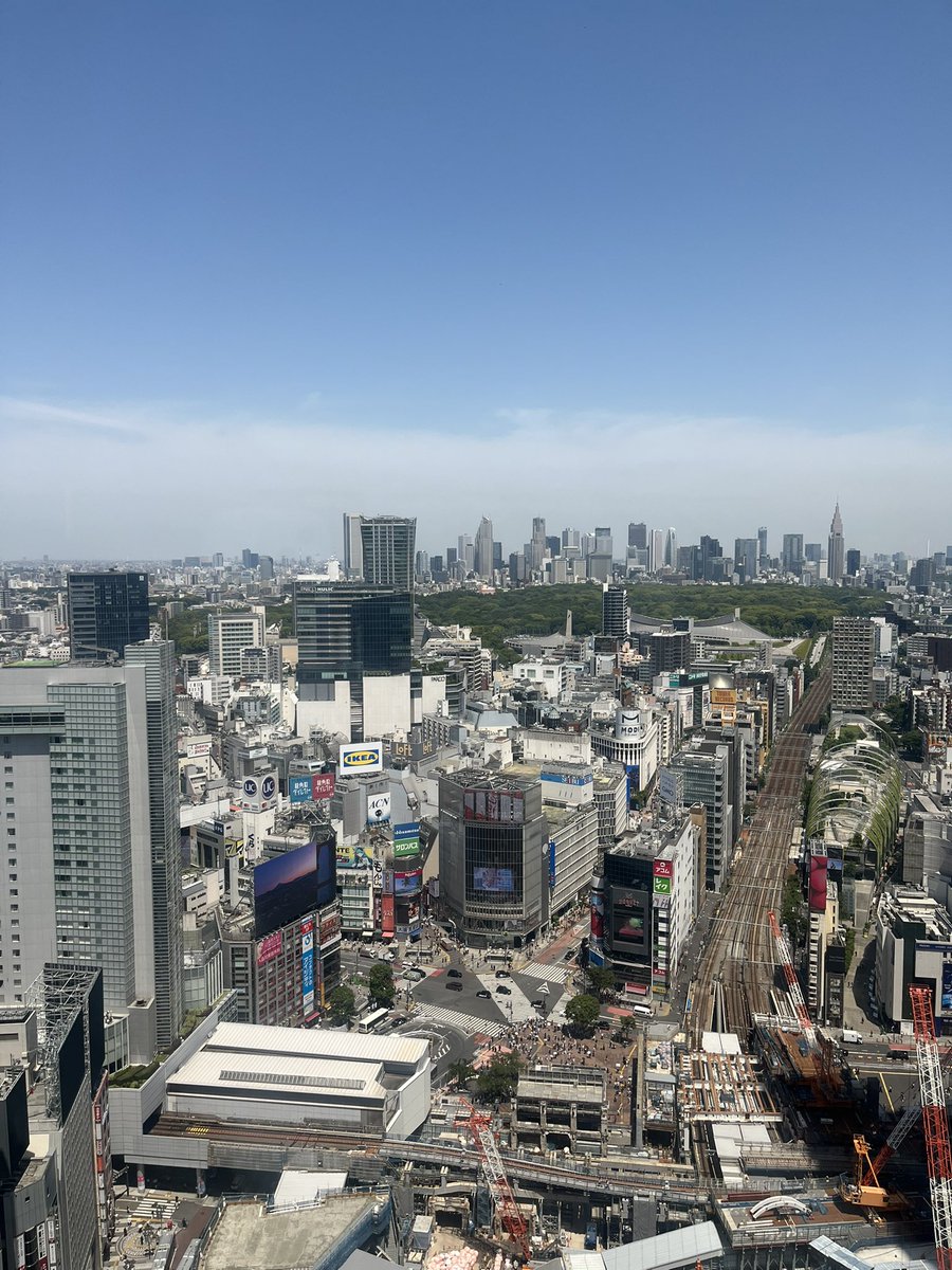 fison517's tweet photo. こっちのアカウントで全然呟いてなかったけど、
最近のブームはグローグーです！
相変わらずハチワレ達も愛でてます！ https://t.co/dxo7tESVMT