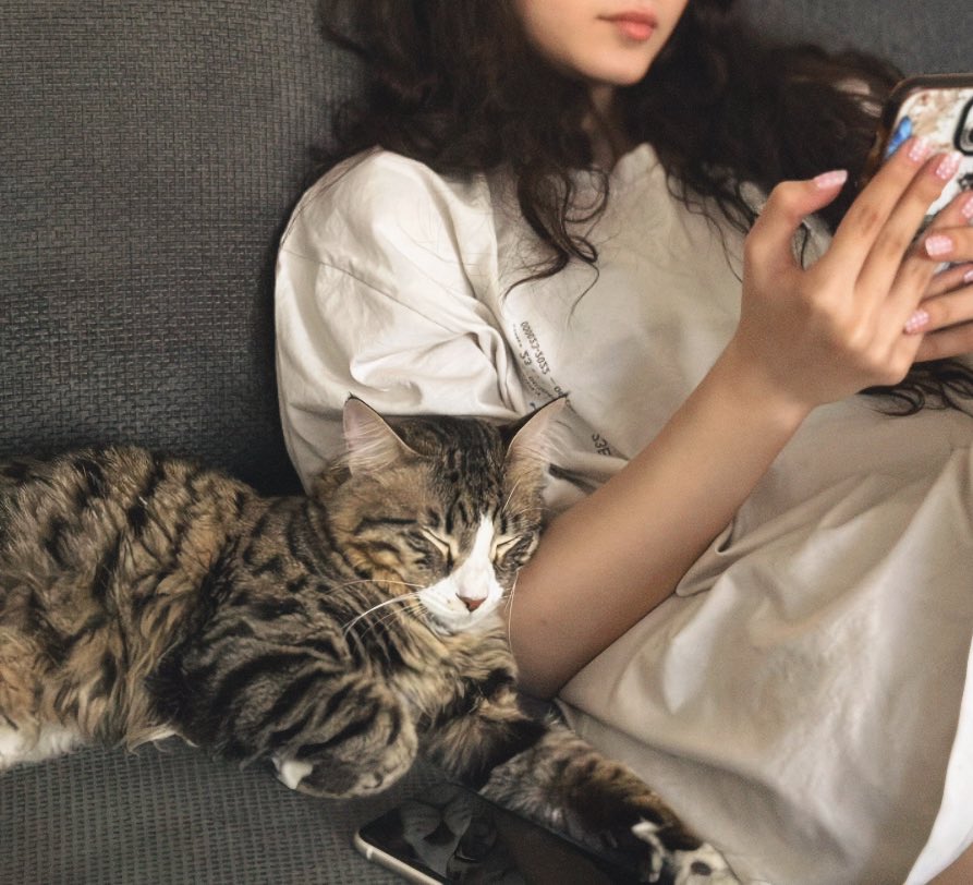 weirdrad's tweet photo. قیلوله‌ گربه‌ای https://t.co/c2LEHvhhqa