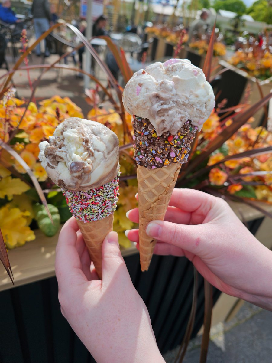 PaultonsPark's tweet photo. Ready to cool down? ☀️
It’s officially ice cream weather! Will you choose:
🍨 A delicious scoop from Ciao Bella
🍦 A classic whippy from Miss Rabbit’s Ice Cream Parlour
🥤 Or a thick, dreamy milkshake from The Feasting Hall?
Whichever you pick, it’s the perfect treat for a sunny day at the park! 😋