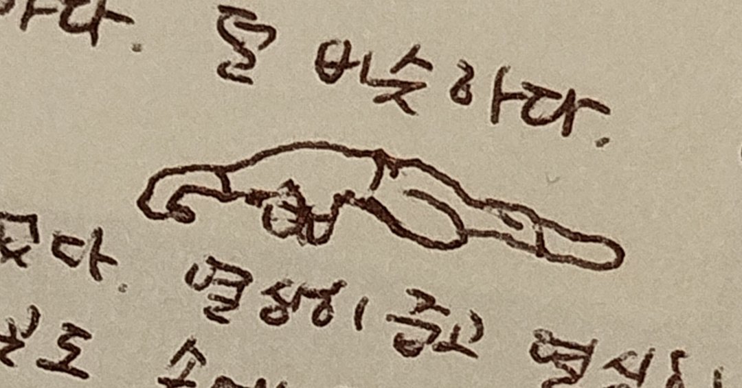 NALr0_orr's tweet photo. 왕오랜만이에요
계속 작업하던 책이 끝을 향하고 있답니다
햇수로 4년이네요 끝까지 힘내서 해 보겠습니다
🐌🐢🚶‍♂️🏃‍♂️🤸‍♀️🧗‍♀️🛴🚴‍♂️🚵‍♀️🏇⛷️🏂🚙🚗🛻🚜🚣‍♀️⛵🚅🚁✈️🌏🚀🛸🟣 https://t.co/au5ffDzjLf