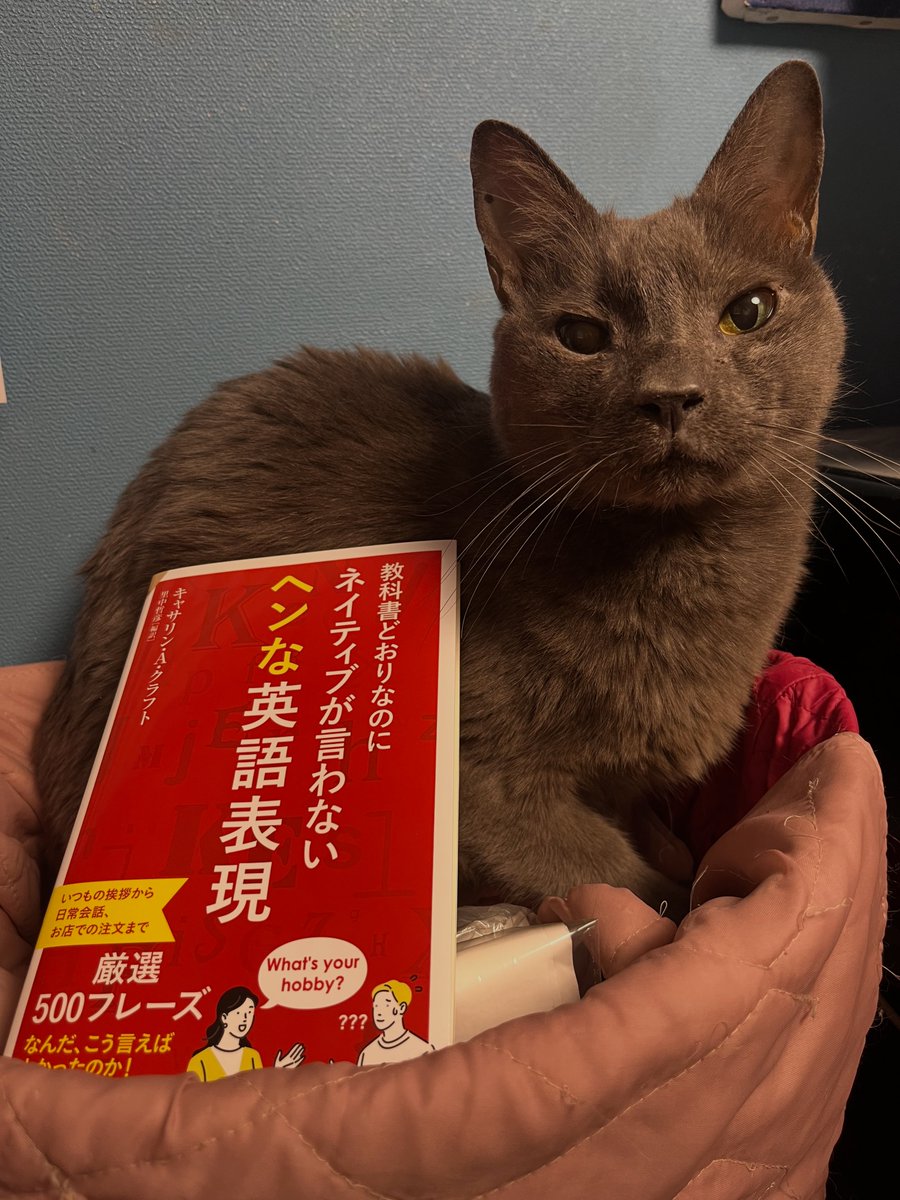 etpeople's tweet photo. I got the sample! Trouble has started reading it, and his English is already improving.  😺 https://t.co/VPymGskxRk