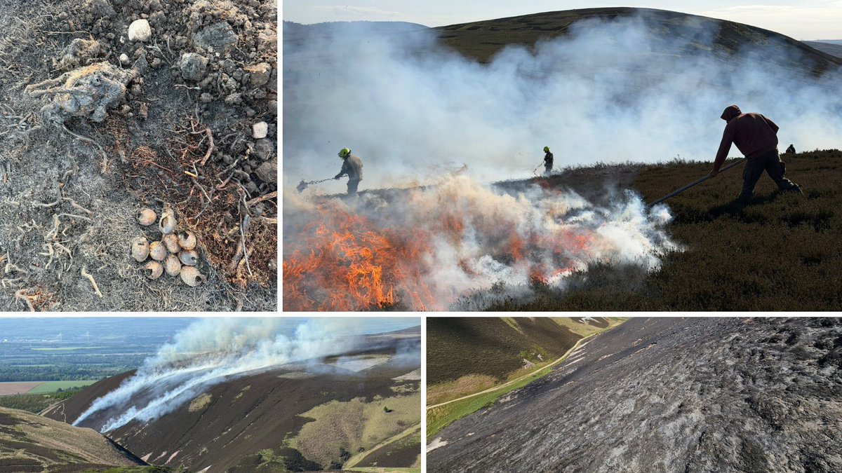 ScotLandEstates's tweet photo. "This was another superb example of land managers and @fire_scot working together"

🔥This week a wildfire at Eastside Farm in the #PentlandHills burnt around 17ha - but estimates suggest it would have been far worse without rapid intervention.
Read more: https://t.co/ILSfjW8tNc https://t.co/aE8iGZk5q0