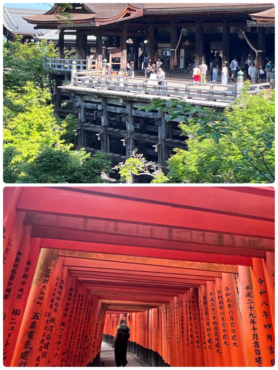 fumicolor's tweet photo. 先週末には、一年ぶりに京都へ✈️

途中から暑くなった〜😅

東本願寺の、このお言葉が深い。

京都はもう紫陽花が咲いていました。

関西方面のいい刺激をいただいたので、なにか曲ができるかな〜😄 https://t.co/zrkK8PAvsF