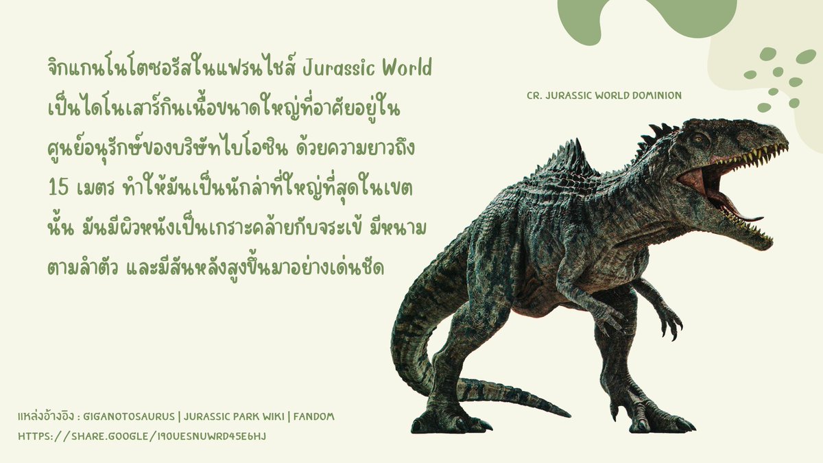 hiro_axomatsu's tweet photo. ขาใหญ่ตัวใหม่ที่โผล่มาท้าชิงบัลลังก์จากทีเร็กซ์ 👑 จิกแกนโนโตซอรัส (Giganotosaurus) กลายเป็นไดโนเสาร์กินเนื้อที่คนต่างพูดถึงกันมากอีกตัวหนึ่ง เรามาทำความรู้จักกับมันสักหน่อยดีกว่า 🔥 https://t.co/2RKX0c9yxN
