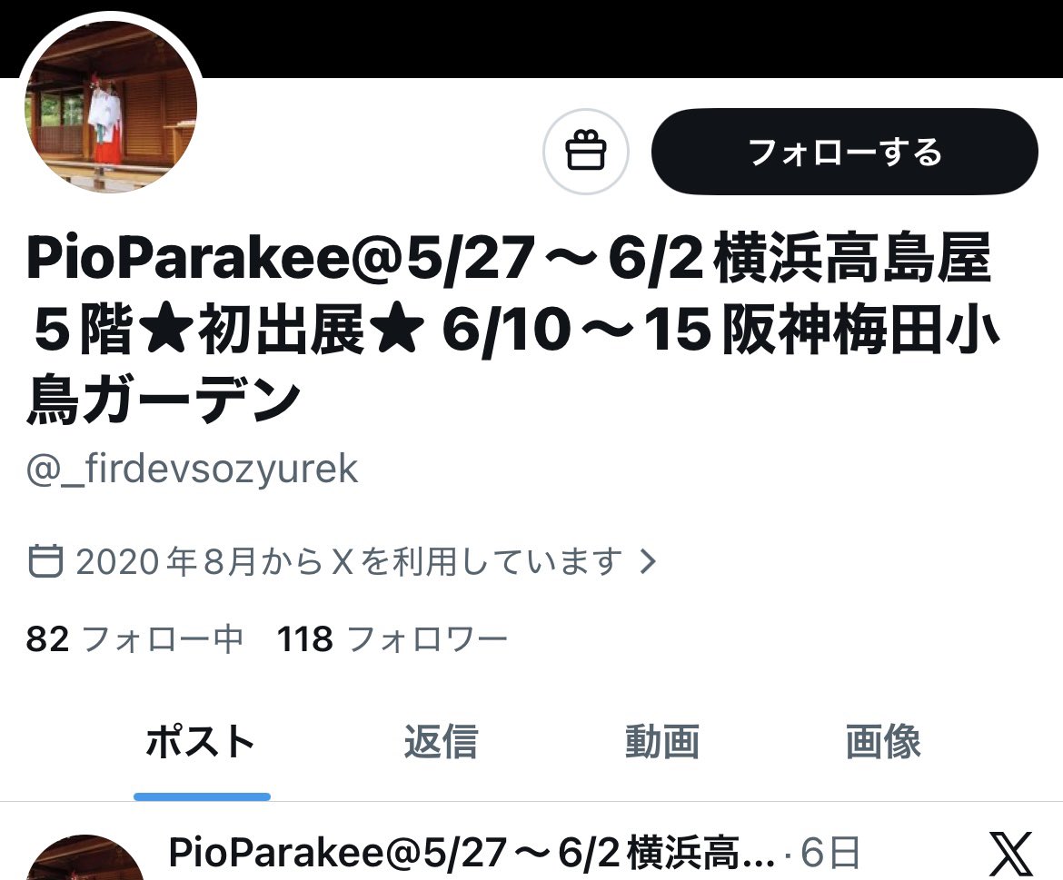 PioParakee@5/27〜6/2横浜高島屋5階★初出展★ 6/10～15阪神梅田小鳥ガーデン tweet media