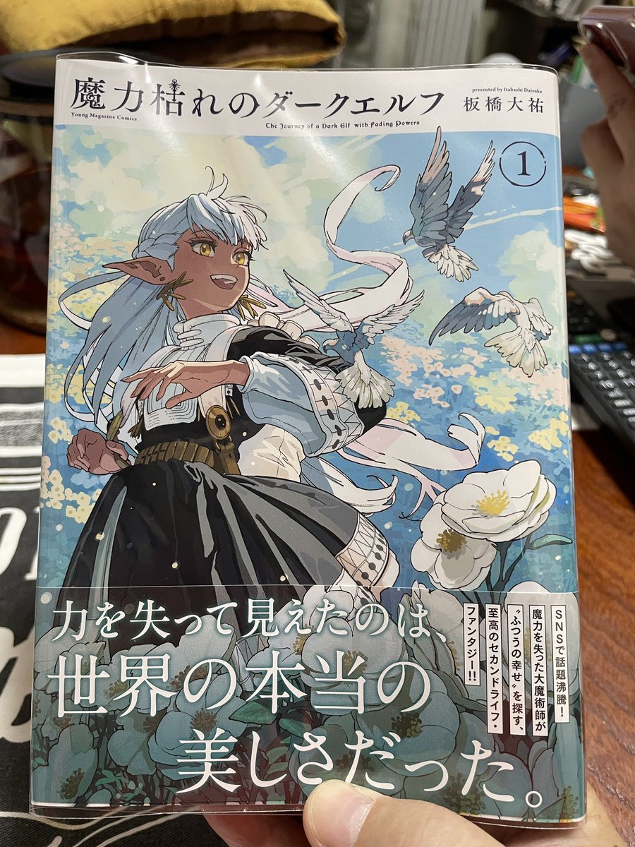 魔力枯れのダークエルフ」1巻読了。素敵な話に圧倒的な画力。大きな羊