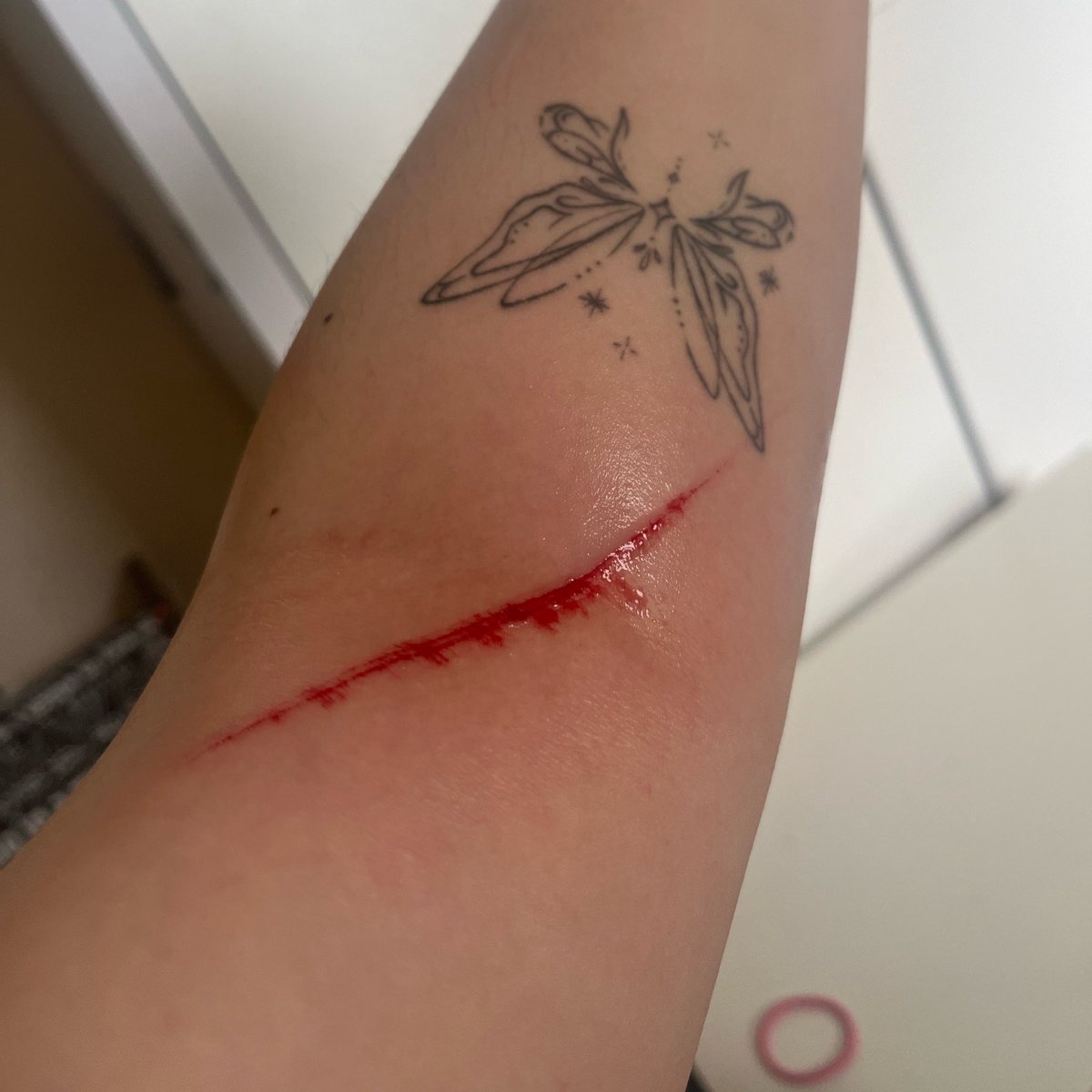 d9ster's tweet photo. please people keep your dogs close and on a leash thank u x https://t.co/2PFNIp5MGT