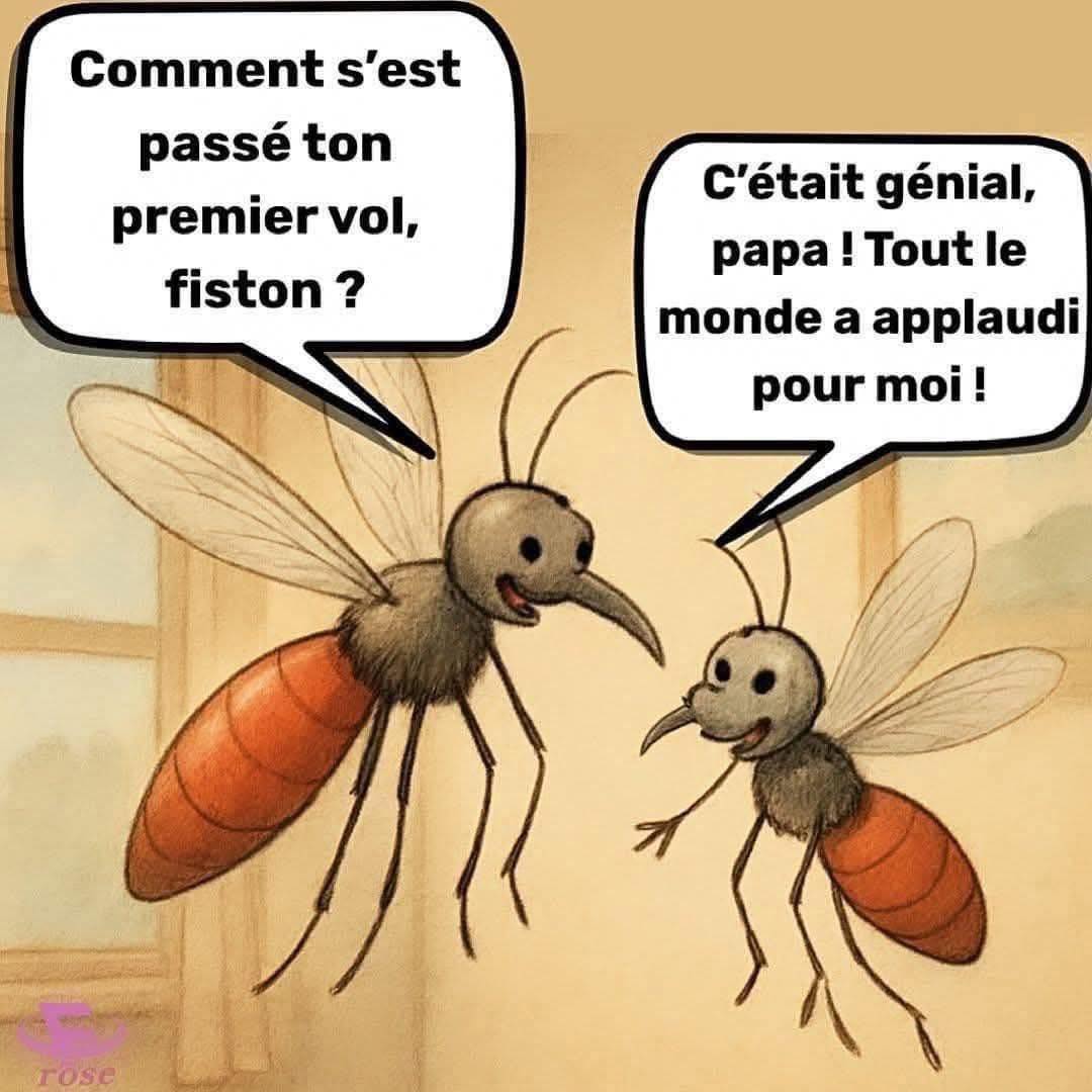 Madame Joëlle tweet media