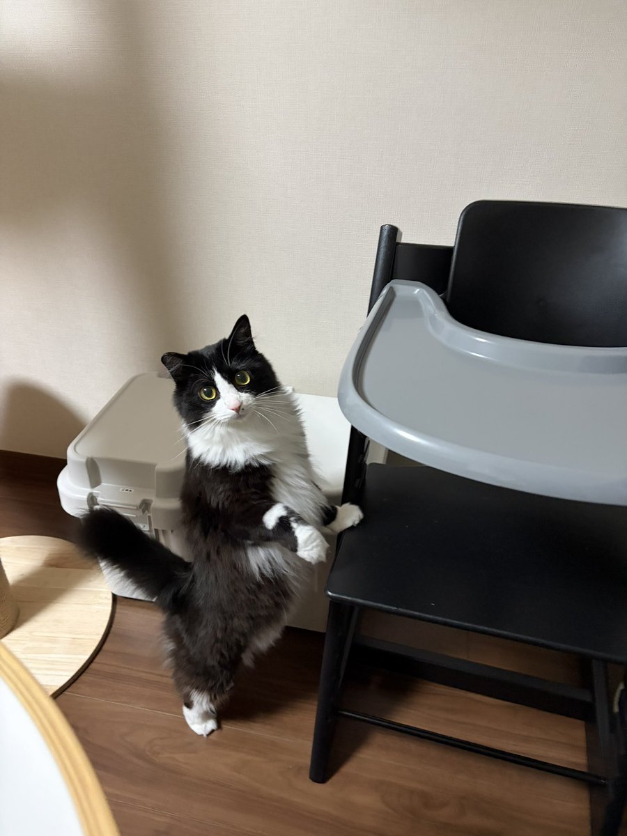 teto tweet media