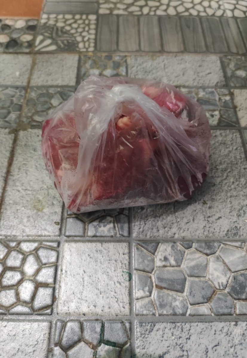 kipo_opik's tweet photo. Anak gw yg 5 tahun lagi duduk depan pintu pas tetangga dateng bawa kantong plastik gede

👦: "Yah, ini apa?" 
👨: "Daging sapi, dari kurban tetangga" 
👦: "Gratis?" 
👨: "Iya gratis" 
👦: "Enak banget... tiap taun ada?" 
👨: "Iya, tiap Idul Adha" 
👦: "Berarti kita ga perlu beli daging dong tiap lebaran?" 
👨: "Haha iya bisa dibilang gitu" 
👦: "Yah berarti kita untung dong, ga usah kurban?"

Gw langsung diem panjang, Sambil inget harga daging sapi di supermarket minggu lalu: Rp 160.000/kg

Nak, pertanyaan kamu bahaya banget 😑😭

daingnya 👇                                        anaknya👇