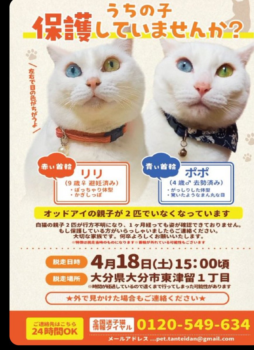 姫崎ゆー。 tweet media