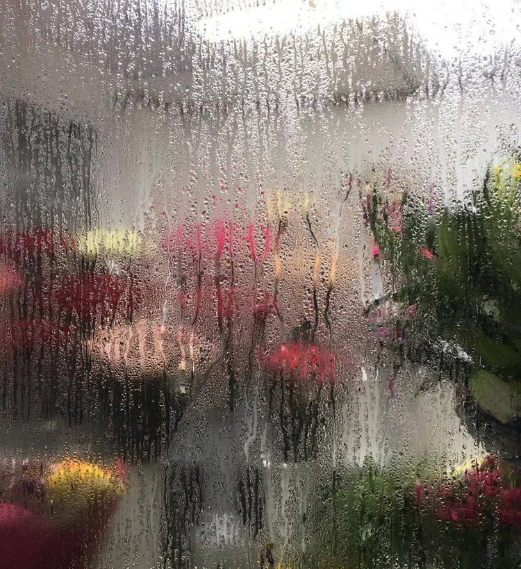prettiestavenue's tweet photo. rainy day https://t.co/cctJENLL3h