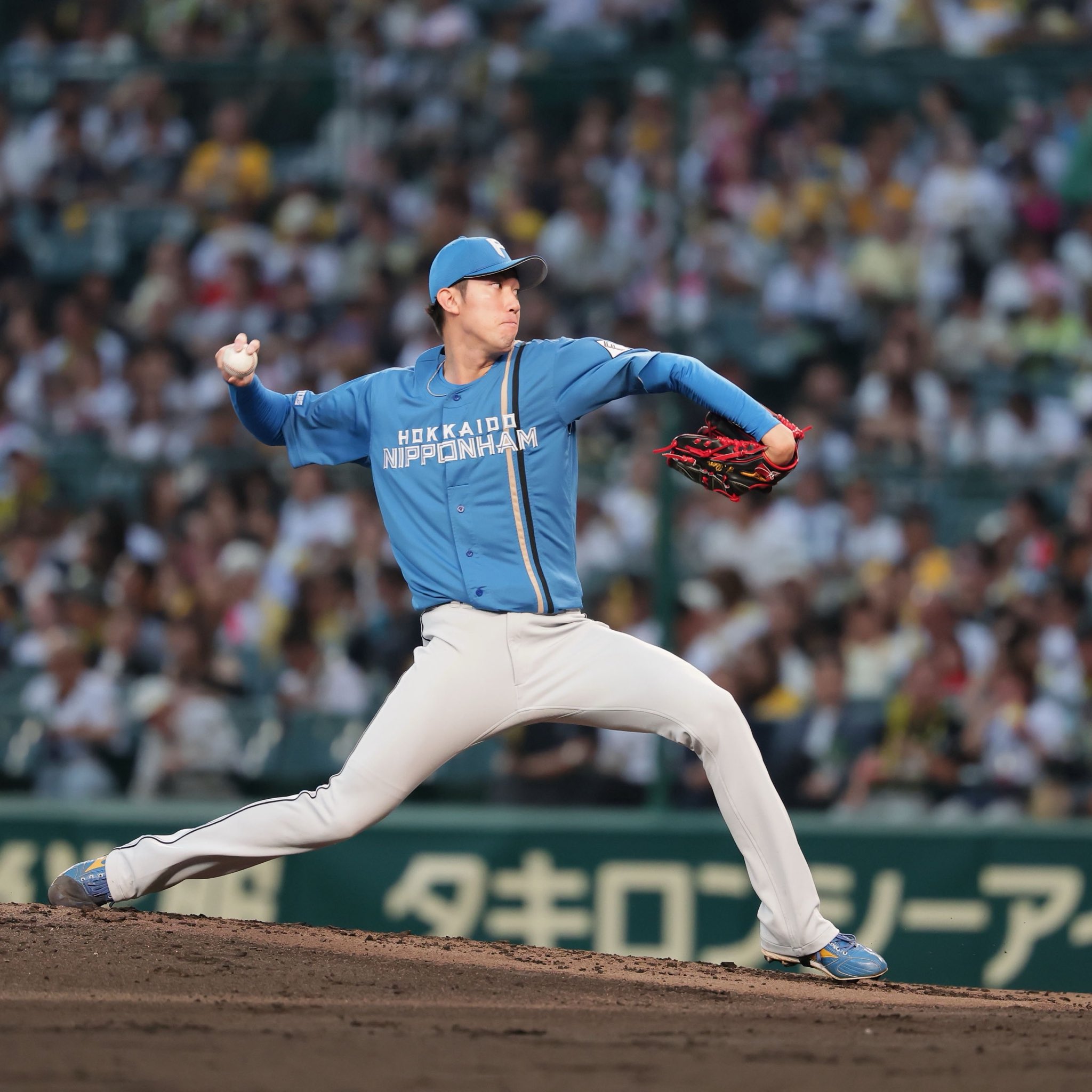 北海道日本ハムファイターズ公式 on X: 
