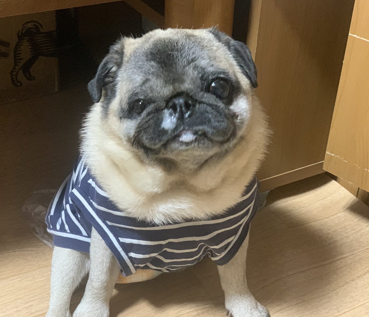 和菓子屋 tweet media