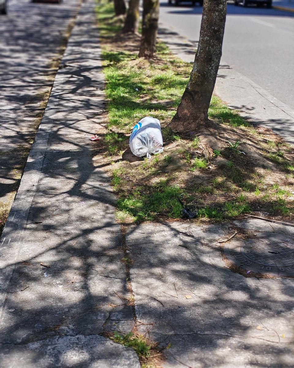 BSJ_MC's tweet photo. El aumento desmedido, injusto, desproporcionado y erróneamente calibrado de la tasa de recolección de basura se entendería que es para que la basura se recoja, pero NO. Concejales pongan freno a este abuso en contra de los quiteños @babadmerchan https://t.co/FHX9Ks6uxL