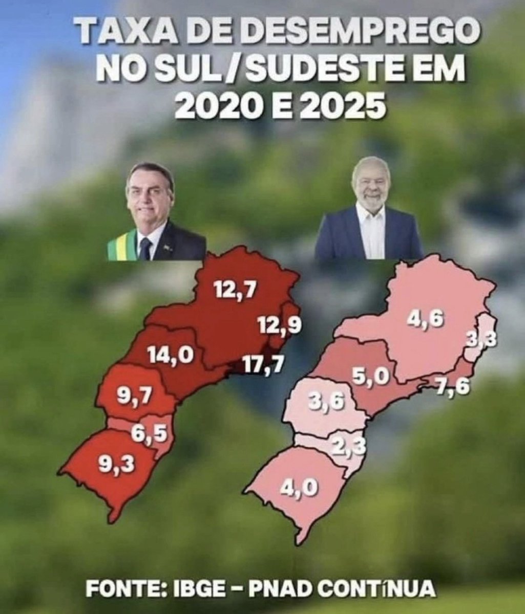 Joaotomate tweet media