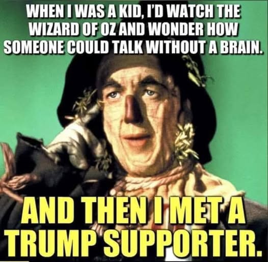 MikeJoPro's tweet photo. To be a MAGA Trump supporter: https://t.co/HQym4x693E