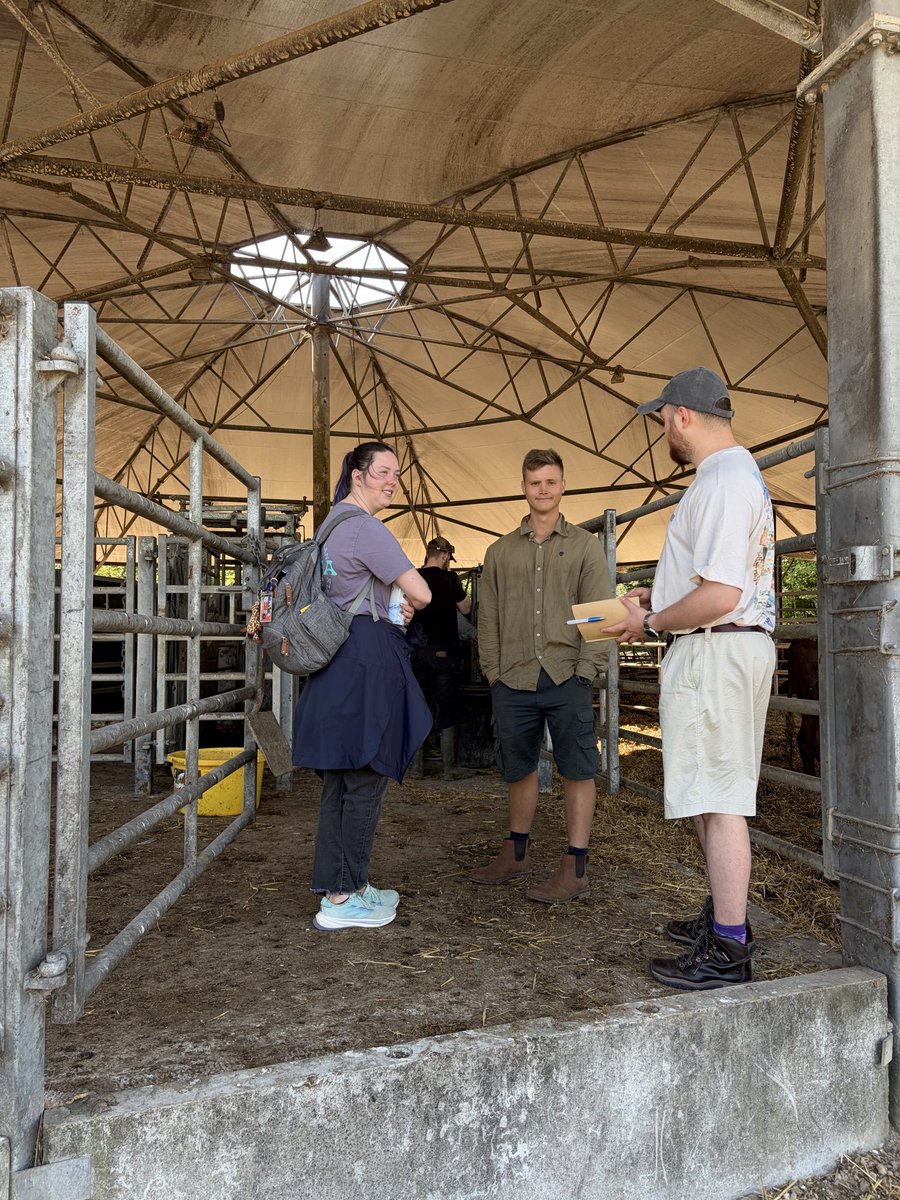 ADTsaousis's tweet photo. Yesterday, along with my @TsaousisLab, @AgrosBiome and the Quex research team we visited the farm where we are going to establish new feeding trials for the cows ll! Pilot study starting in Autumn this year, so do stay tuned!
#cattle #cattlehealth #microbiome #lowmethane #cows https://t.co/DEMPPpQohi