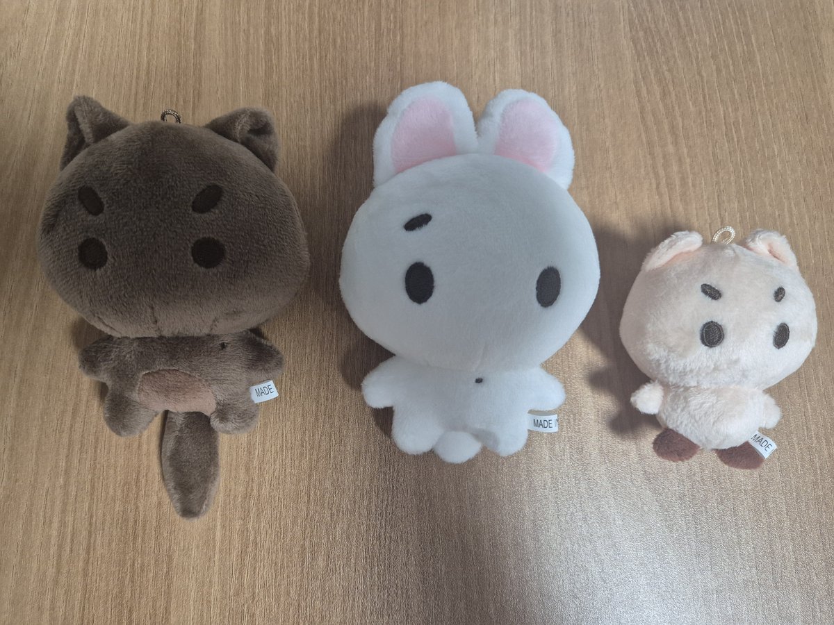 TWS_jiae0507's tweet photo. 드뎌 톨어스가 나에게로 💙 최애 인형들만 없었는데 이케 겟 할수 있어서 행복해 🥰 실물로 보니까 더더 기여워 ㅎㅎ 입양증이랑 스티커도 너무 기요미고 좋아용 ㅎㅎㅎ 감사합니다 😍 @tall_ws https://t.co/iQVHjbZnf1