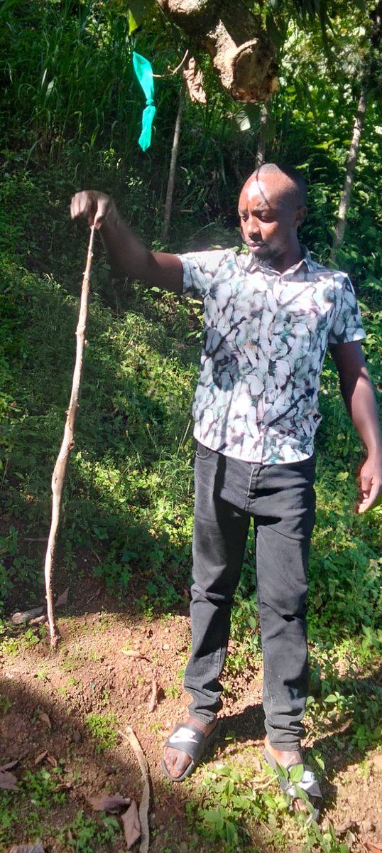 KOT Socha 🇰🇪 tweet media