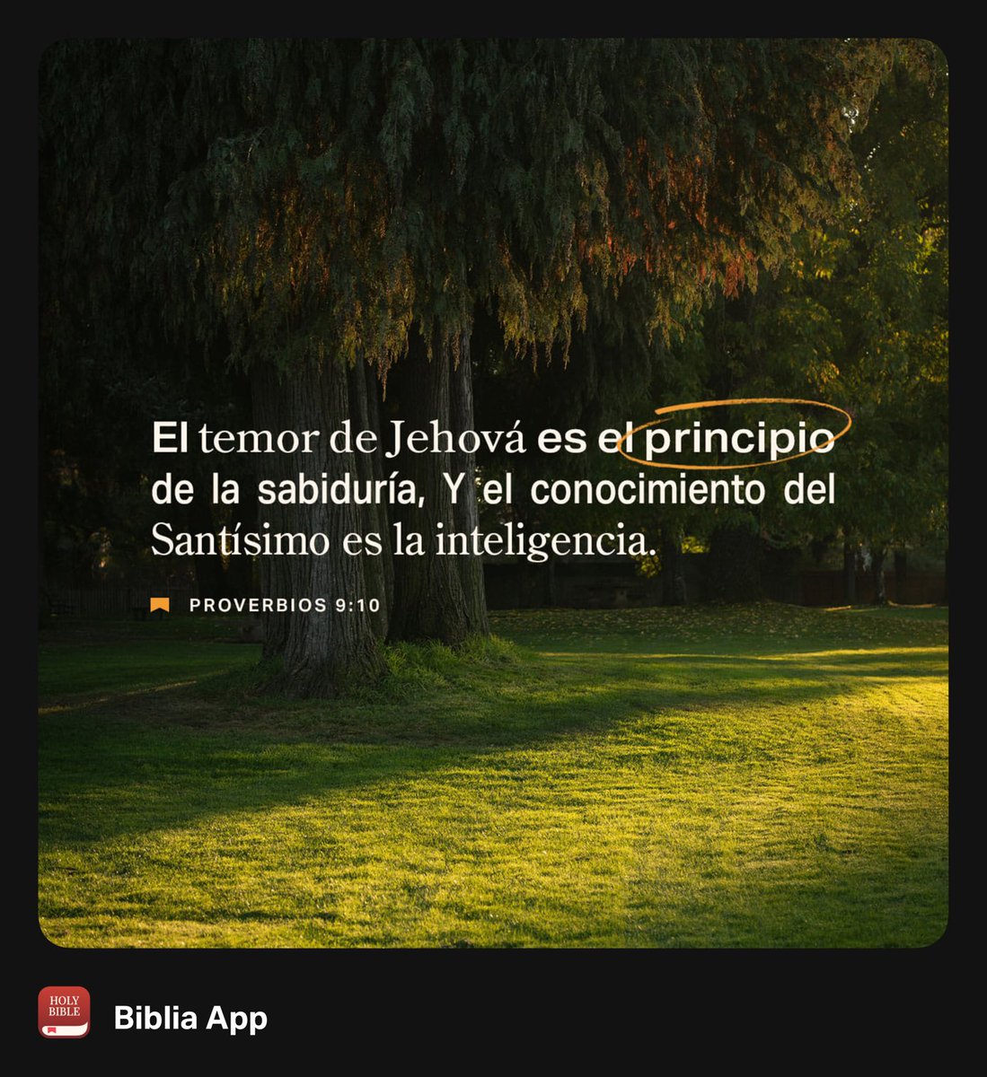 Gamaliel Flórez tweet media