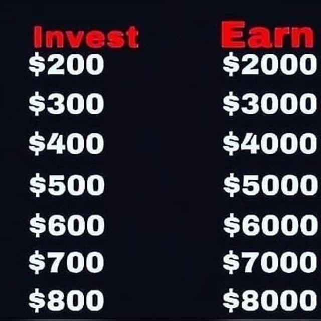 Stephan5747937's tweet photo. Flip your cash and get paid in 30 minutes 100% real and legit✅✅ https://t.co/WdgjmLzSQe