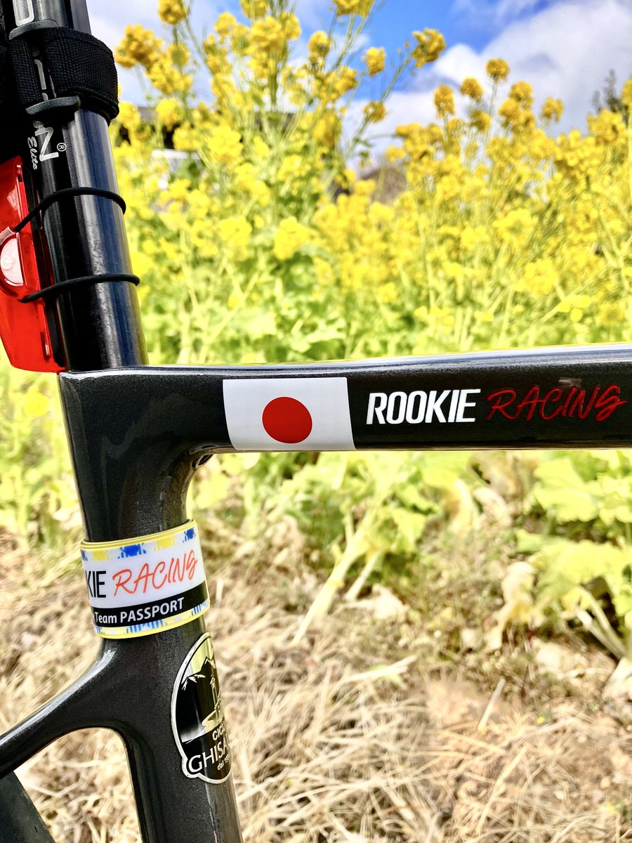 right_lyttle's tweet photo. @ROOKIE_Racing_ 自他共に認めるルーキー推しです。 https://t.co/WCpwkYfMnV