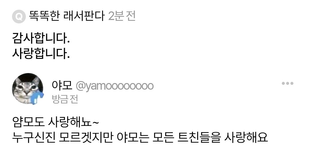 야모 tweet media