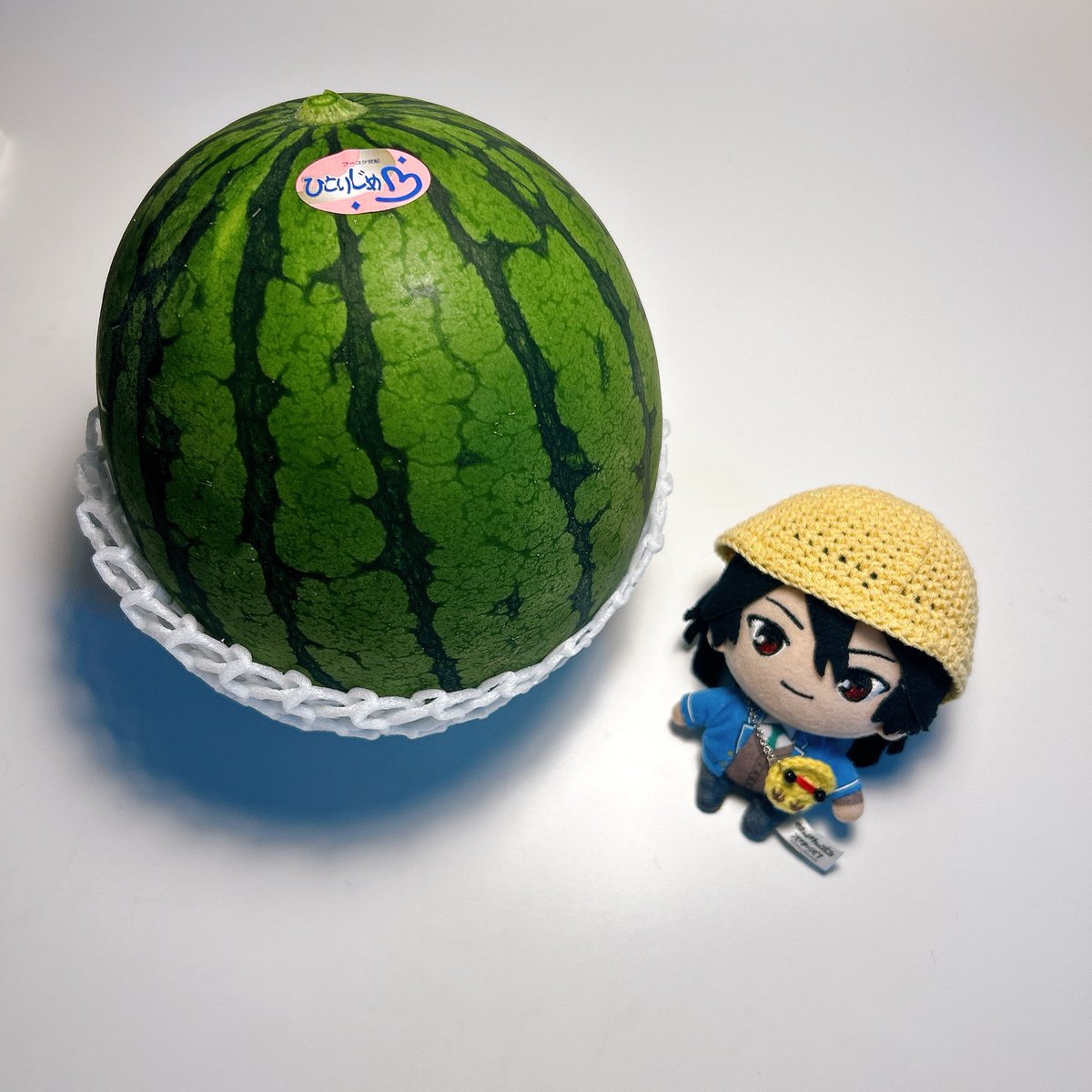 めっちゃホリディ tweet media