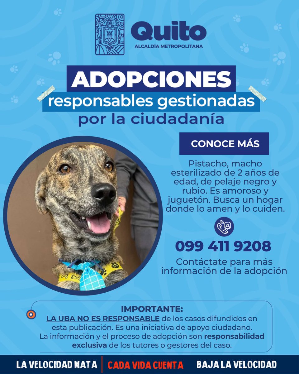 UBAQuito's tweet photo. 🐾 #AdopciónExterna | Adopta y descubre el poder de transformar una vida❤️‍🩹🏡.
Si no puedes adoptarla, ¡ayúdala a encontrar un hogar amoroso compartiendo esta publicación! 🐾
Con adopciones responsables #QuitoRenace 🍃 https://t.co/VQuoejbeBS