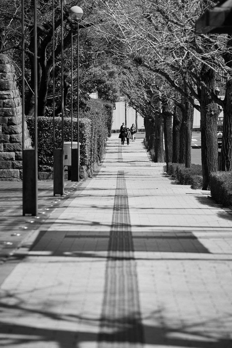 zauber2011's tweet photo. People drift through structures built to separate them.

#StreetPhotography
#MonochromePhotography
#UrbanGeometry
#TokyoStreet
#VisualNarrative https://t.co/4aM21V1znQ