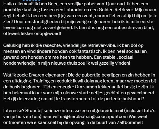 MrsTuinkabouter's tweet photo. @troela279 Voor zover ik weet nog geen gezin op het oog, maar in onderstaande afbeelding zie je alle info die daarvoor nodig is. @DeRavissante gaat over de uiteindelijke herplaatsingen. Dus volg de info uit de tekst, dan neemt ze vanzelf contact op. https://t.co/WQ9Mze2owA