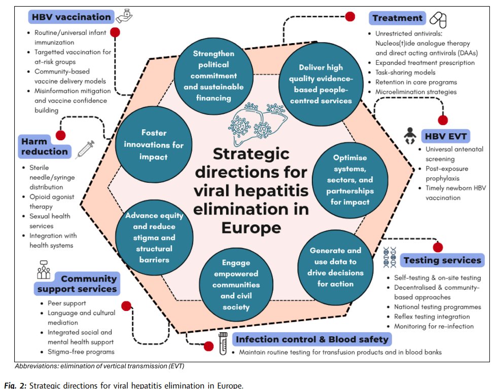 LancetRH_Europe's tweet photo. Europe has the tools to eliminate #hepatitis B and C but millions remain undiagnosed. Our Series report how community and prison-based #HCV models of care are achieving >80% treatment completion and cure in many settings. Scaling-up is the missing step. #HepatitisElimination https://t.co/yvlz1Fhcs3