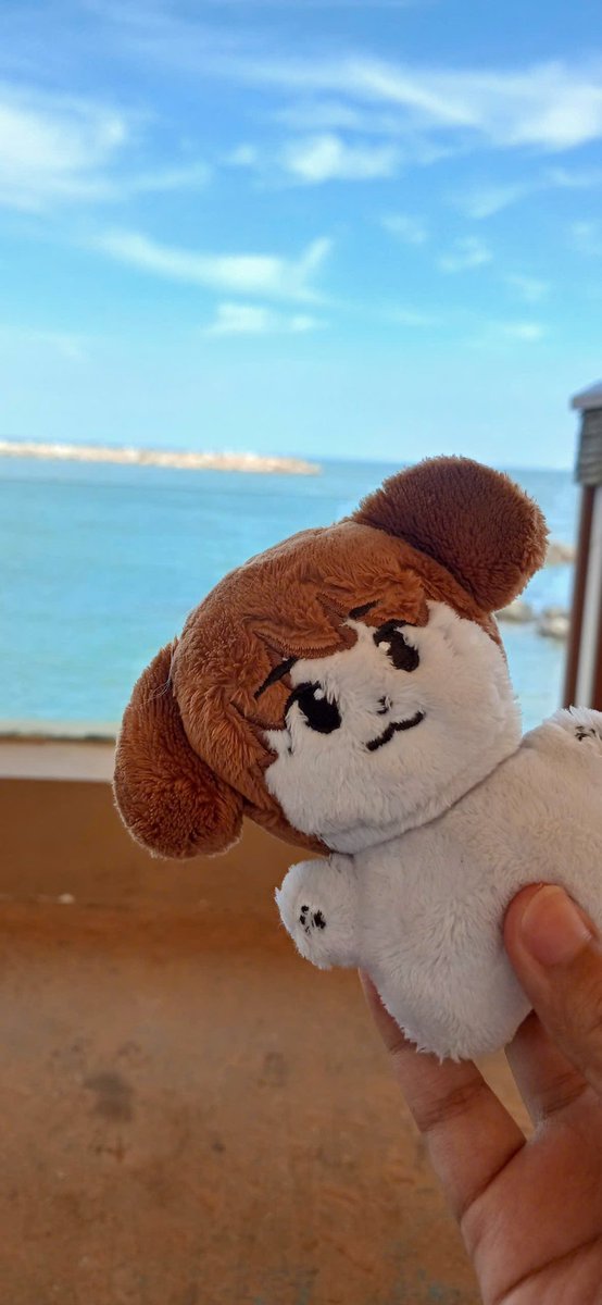 dalgomi0109's tweet photo. [REALLY LONG THREAD]
Hi~ I'm here for my first solo trip preview, where we can go, eat, and stay if you have any chance to go to Vietnam, especially Vung Tau.

1. Transportation
Since I live in Ho Chi Minh City, there are many ways to get to Vung Tau economically. https://t.co/gKGvdlNCdn