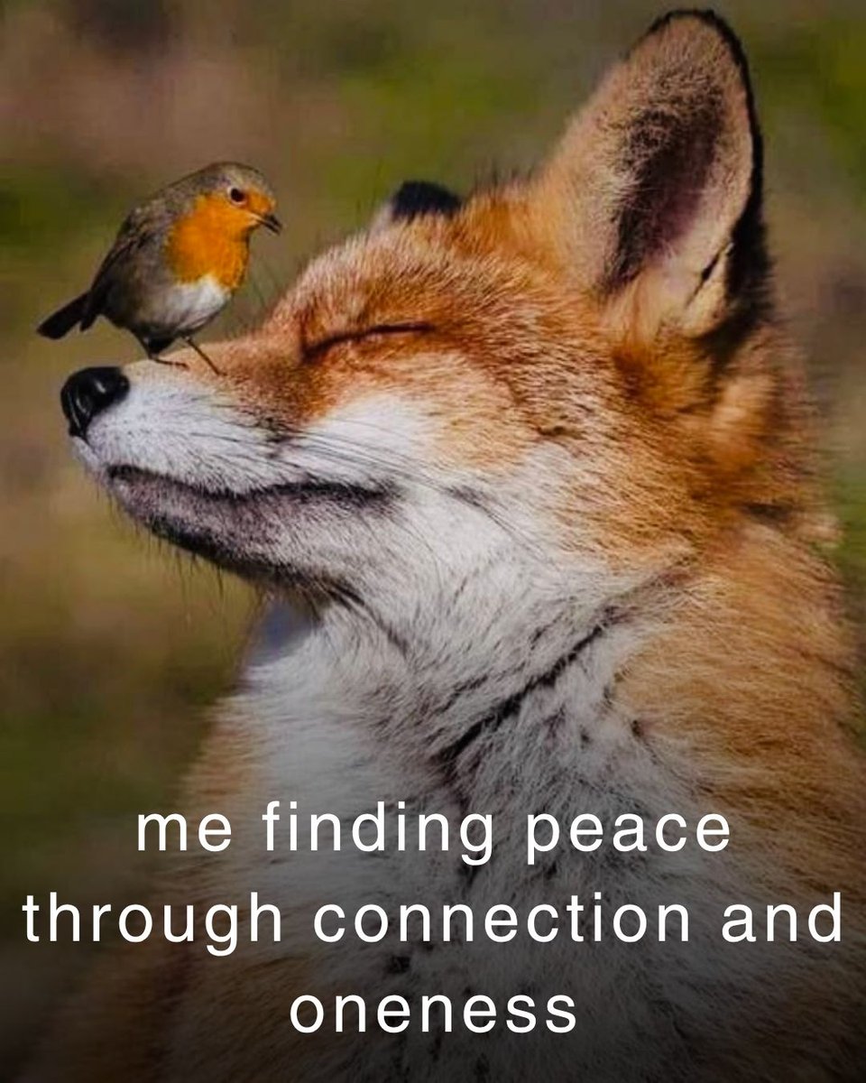 DiscHealing's tweet photo. A little more reflective:

Sometimes it’s not that we don’t want connection…
it’s that part of us hasn’t felt safe enough yet.

And when that shifts, everything can feel different.

Which one do you relate to most? https://t.co/DDKhyem8mY