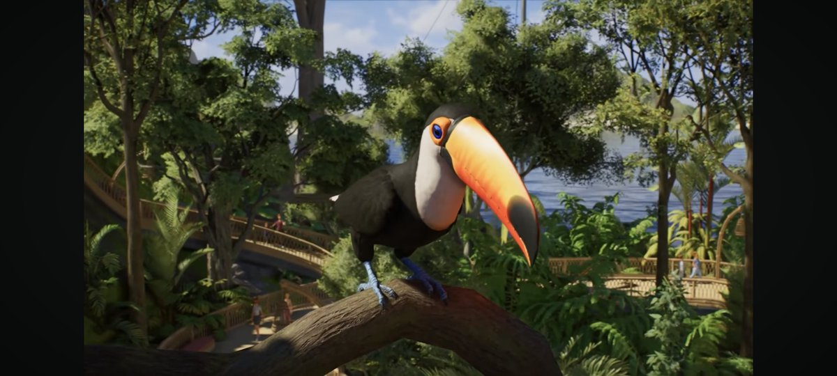 planeta_geo's tweet photo. Tucanes, aves secretario, tortugas marinas, tiburones, peces, caminos mejorados, brochas de terreno 😍😍😍

La secuela será una joya de los videojuegos, me encanta 🥹🐾

#PlanetZoo2 https://t.co/G4JoUTekhq
