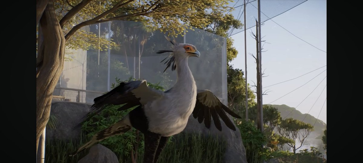 planeta_geo's tweet photo. Tucanes, aves secretario, tortugas marinas, tiburones, peces, caminos mejorados, brochas de terreno 😍😍😍

La secuela será una joya de los videojuegos, me encanta 🥹🐾

#PlanetZoo2 https://t.co/G4JoUTekhq
