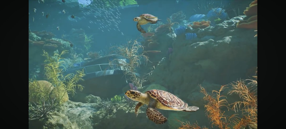 planeta_geo's tweet photo. Tucanes, aves secretario, tortugas marinas, tiburones, peces, caminos mejorados, brochas de terreno 😍😍😍

La secuela será una joya de los videojuegos, me encanta 🥹🐾

#PlanetZoo2 https://t.co/G4JoUTekhq