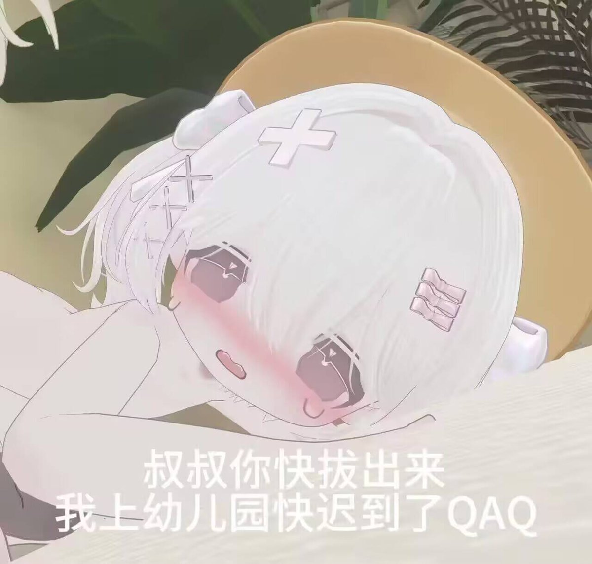 陈陈皮 tweet media