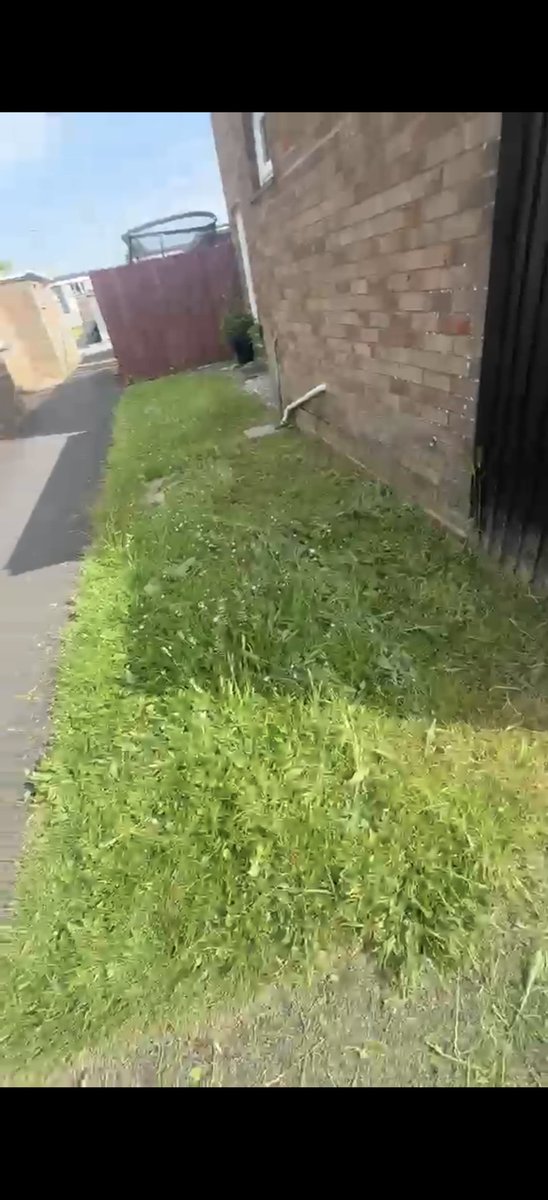 JAF706's tweet photo. @ValleysToCoast, what kind of grass cutting is this. You might want to hire Stevie Wonder instead, he'd do a better fucking job. https://t.co/ImaIPzDgSo