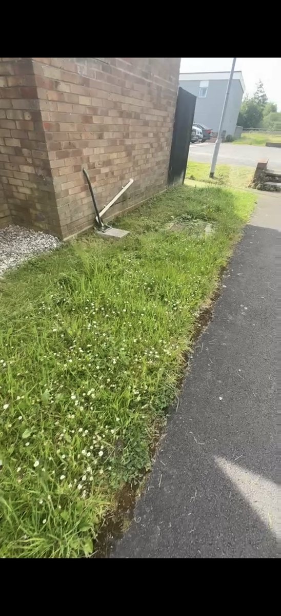 JAF706's tweet photo. @ValleysToCoast, what kind of grass cutting is this. You might want to hire Stevie Wonder instead, he'd do a better fucking job. https://t.co/ImaIPzDgSo