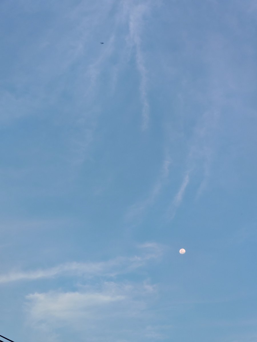 euisaqmal's tweet photo. Bogor, Kamis, 28 Mei 2026, 17.26 WIB

Cantik sekali putih bulan terlihat di tengah2 biru muda langit.

Btw itu yg hitam2 apa yaa? Kayaknya burung tertangkap kamera wkwk https://t.co/TcqcU1PLfW