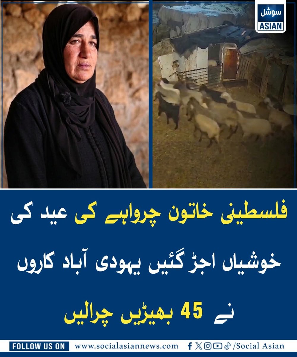 Ajmal_804's tweet photo. رپورٹس کے مطابق مقبوضہ فلس / طی / نی علاقوں میں ایک فلس / طی / نی خاتون چرواہے کی 45 بھیڑیں مبینہ طور پر یہودی آباد کاروں کی جانب سے چوری کر لی گئیں، جس کے بعد اس کی عید کی خوشیاں غم میں بدل گئیں۔ 🐑🇵🇸🥀 https://t.co/OK6zERh80Q