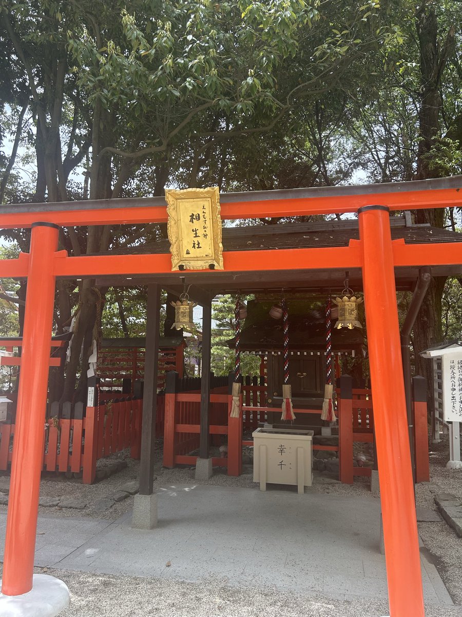 ediondsd's tweet photo. お初の下鴨神社〜✨
母と次女と3人で〜✨
いいご縁がありますように…😌✨
#下鴨神社
#縁結び
#相生社 https://t.co/s525KD2Zw2