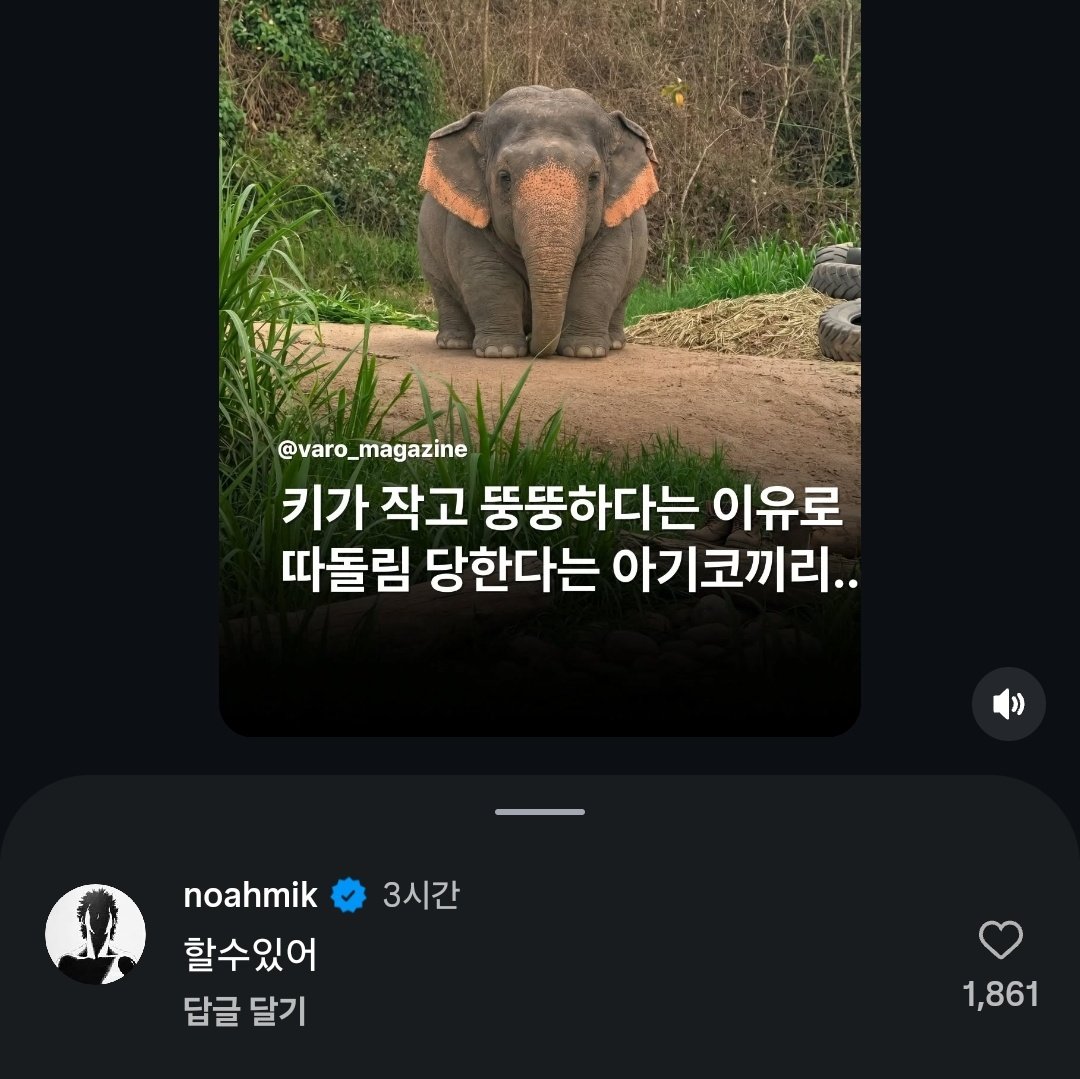 먕 tweet media