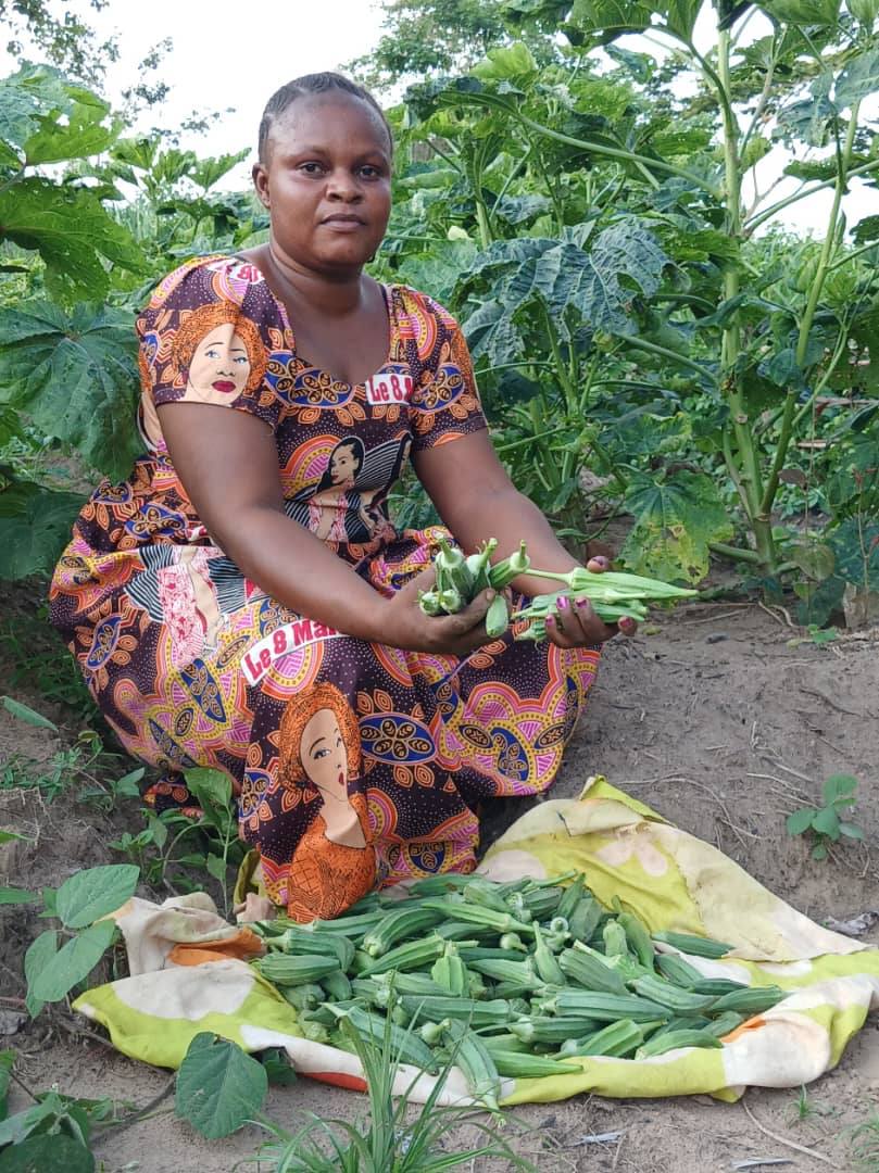mwarumba's tweet photo. 🌱🇨🇫 @Welthungerhilfe #PRUCAC2 (financé par la @Banquemondiale ) poursuit son appui aux maraîchers de Bania et environs (Mambéré-Kadéï). Grâce aux formations et à l’accompagnement technique, de meilleures pratiques sont appliquées et les rendements progressent. Bravo aux producteurs ! #SécuritéAlimentaire