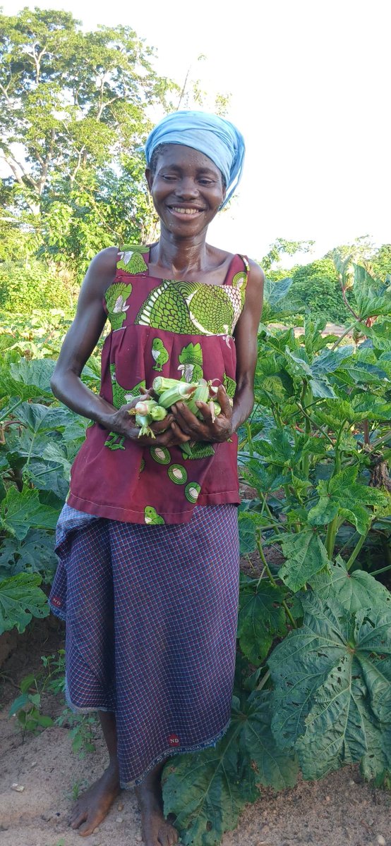 mwarumba's tweet photo. 🌱🇨🇫 @Welthungerhilfe #PRUCAC2 (financé par la @Banquemondiale ) poursuit son appui aux maraîchers de Bania et environs (Mambéré-Kadéï). Grâce aux formations et à l’accompagnement technique, de meilleures pratiques sont appliquées et les rendements progressent. Bravo aux producteurs ! #SécuritéAlimentaire