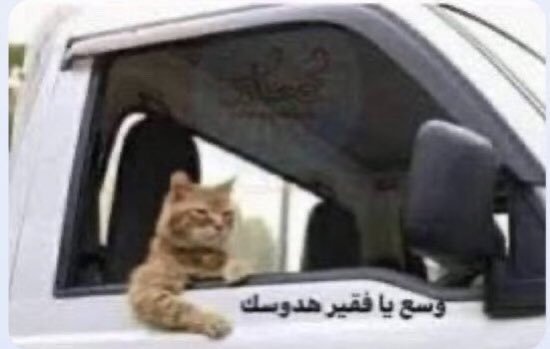 عادل 🇦🇷 tweet media