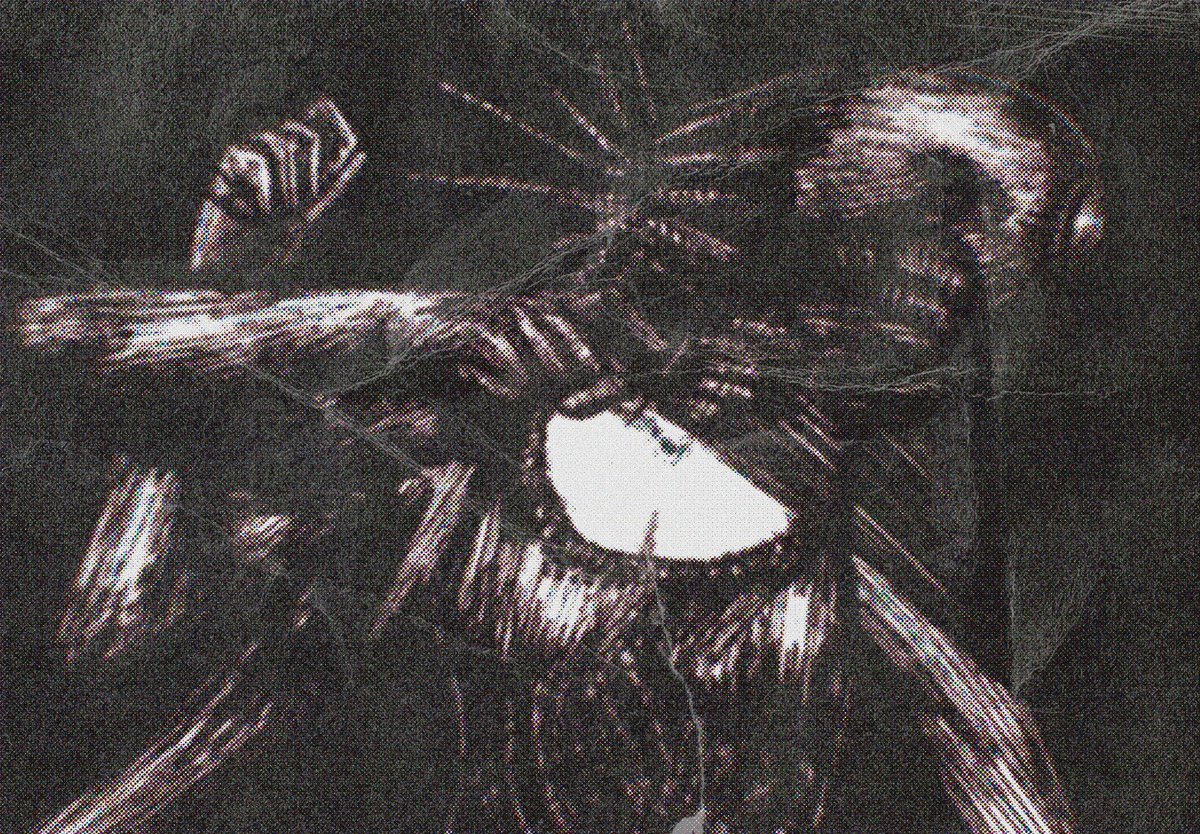 head_15151's tweet photo. reze repost #chainsawman https://t.co/XU4JTcuZqq