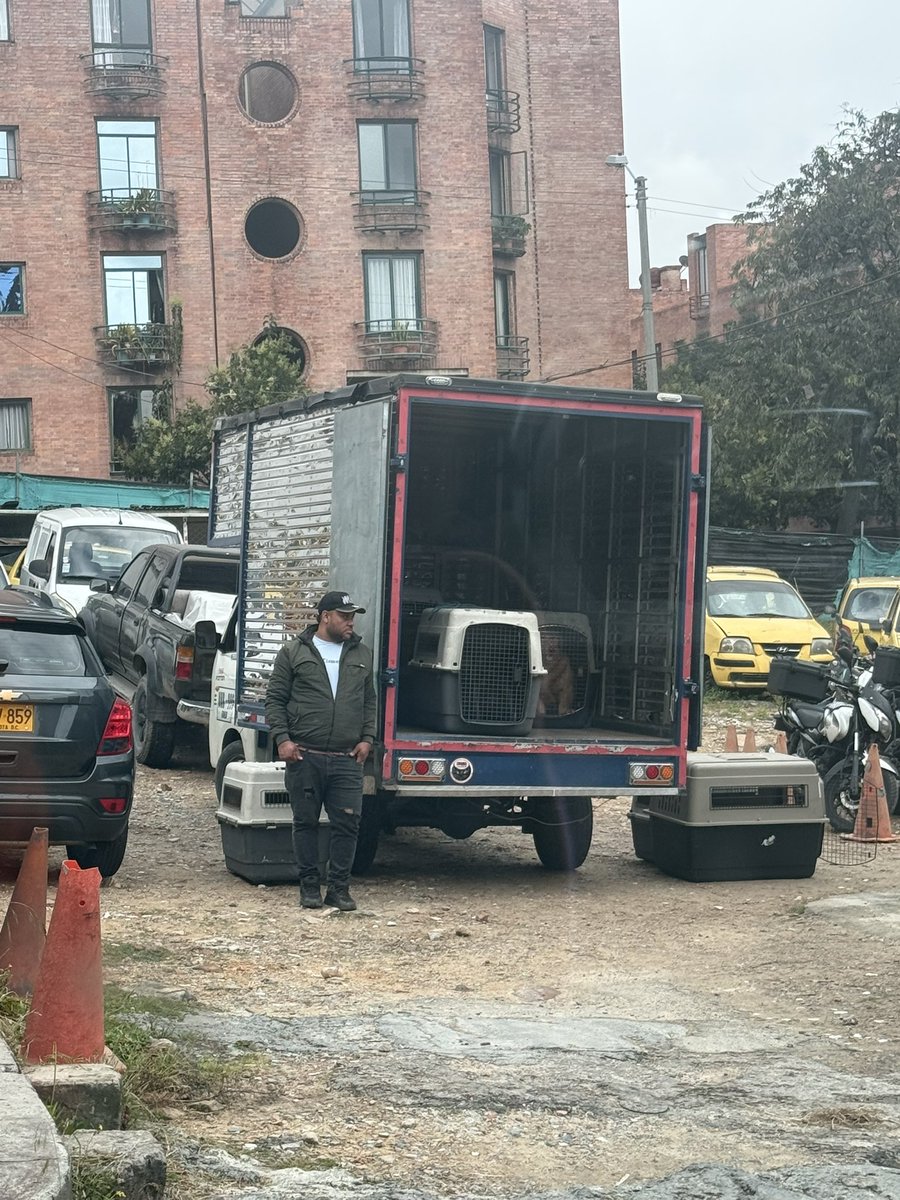 vapegi's tweet photo. Ayuda de la autoridades porfis @andreanimalidad @AnimalesBOG @PoliciaBogota https://t.co/9c3IqG4nrq